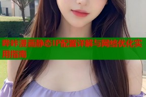 哔咔漫画静态IP配置详解与网络优化实用指南
