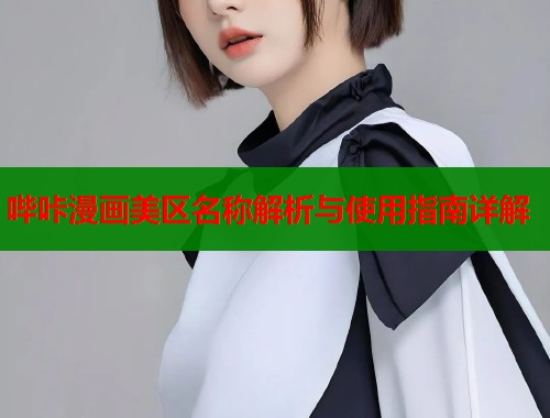 哔咔漫画美区名称解析与使用指南详解  第1张