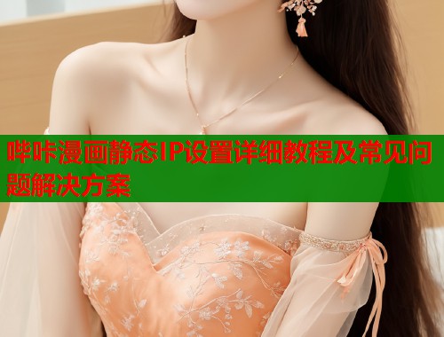 哔咔漫画静态IP设置详细教程及常见问题解决方案  第2张