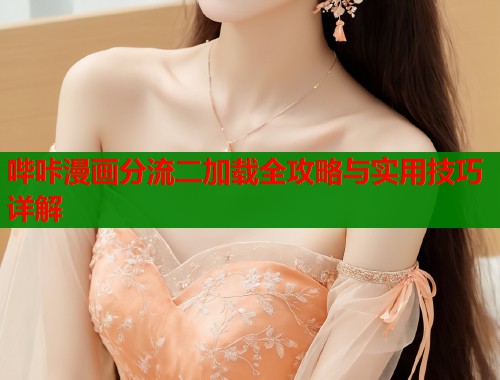 哔咔漫画分流二加载全攻略与实用技巧详解  第1张