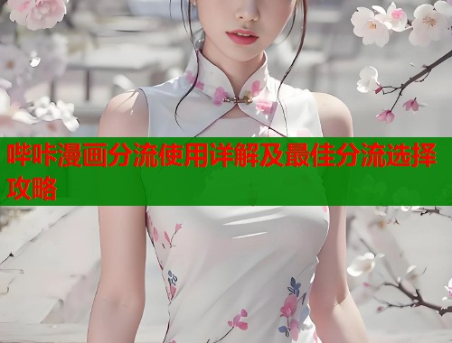 哔咔漫画分流使用详解及最佳分流选择攻略  第2张